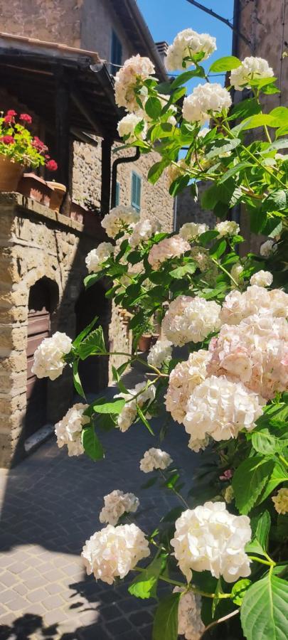 Appartamento LA CHASCONA DI FARNESE casa di tufo nel borgo Esterno foto